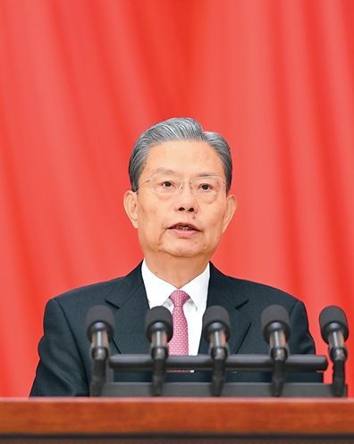 十四届全国人大四次会议举行第二次全体会议