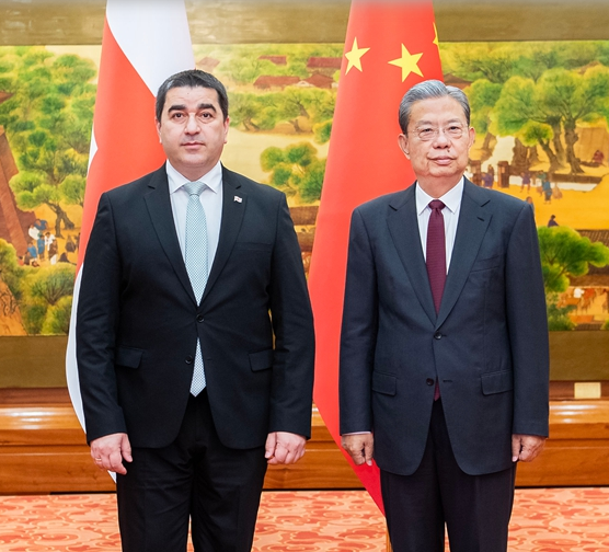 赵乐际同格鲁吉亚议长帕普阿什维利会谈